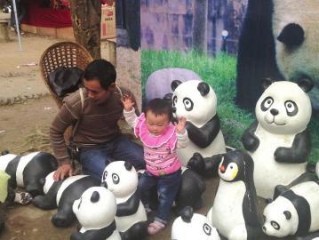 内江一景区展出假熊猫引质疑 家长直呼“上当”