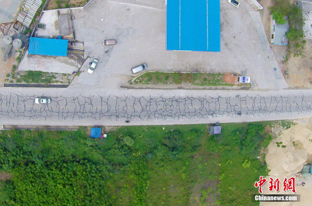 儋州回应“纹身”公路:争取今年尽快改造