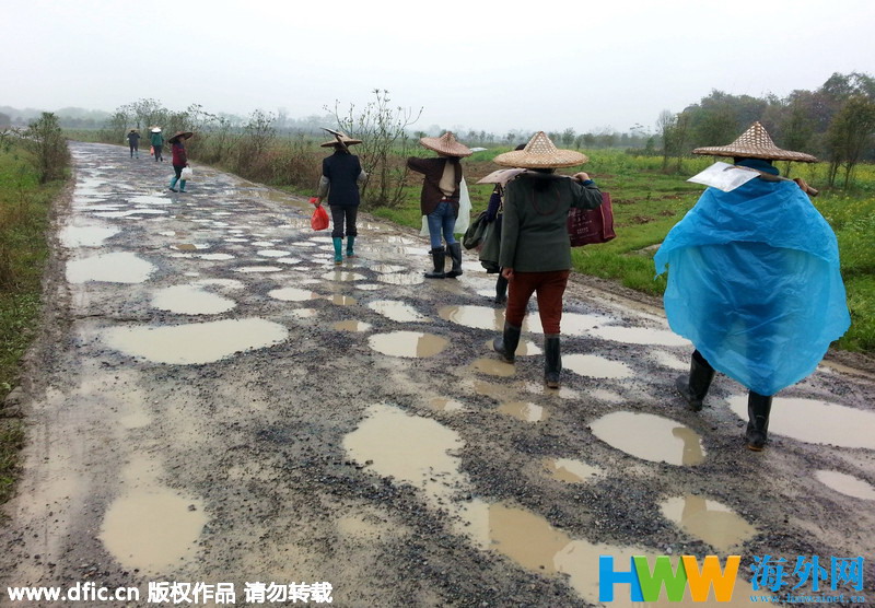 广西临桂“万坑”公路似陨石坑