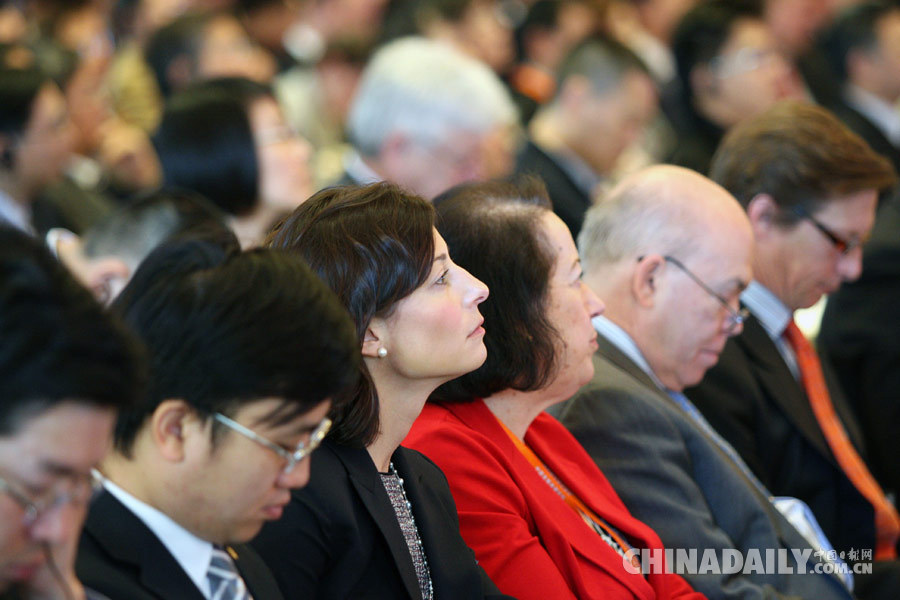 中国发展高层论坛2015经济峰会在京举行