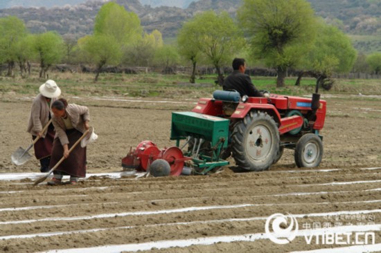 农业部：今年是农业扶贫援疆援藏工作的“落实年”
