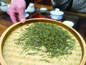 天公作美 贵州春茶产量大增市民受益 今年茶价更加亲民