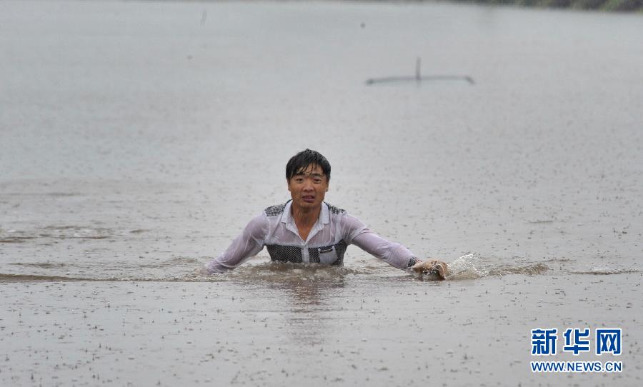 长沙：暴雨袭城水淹车