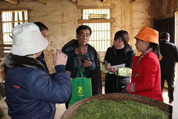 安徽天峡磨刀坪高山有机茶进入“采摘季”