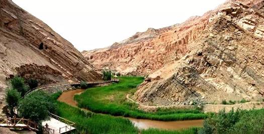 吐鲁番零距离：画在大地上的土庄——吐峪沟