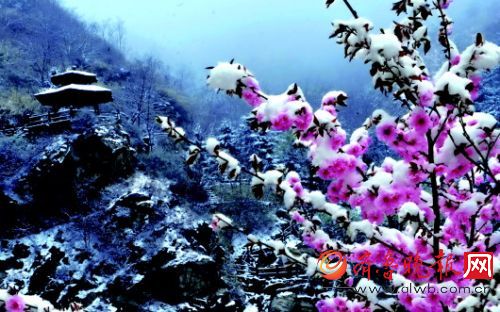 “桃花雪”后明天气温最高28℃ 济南春有四季真不靠吹