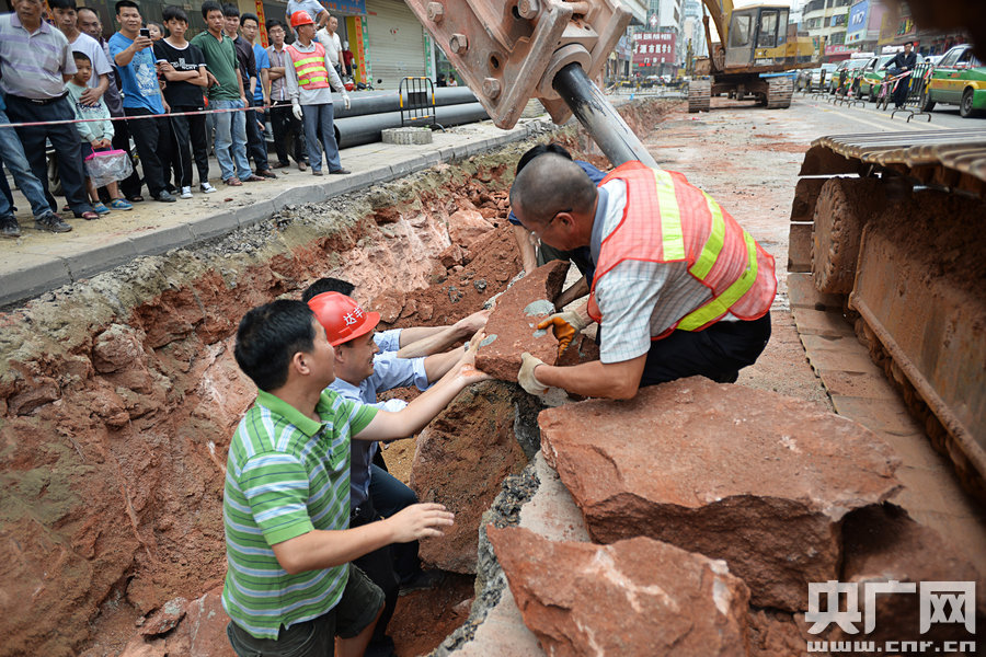 广东河源闹市挖出43枚恐龙蛋化石