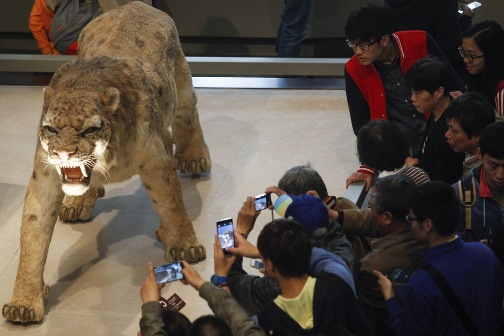 上海自然博物馆开馆首日两次限流 有猴子标本被拔毛