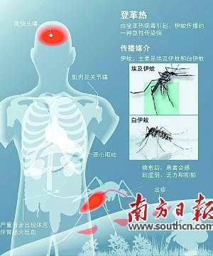 广东今年共报告22例登革热 可防可治不要慌
