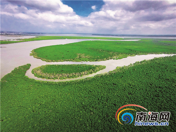 海口规划建设带状湿地公园 立法保护东寨港红树林