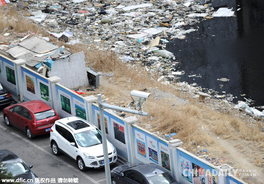 哈尔滨惊现城中垃圾场 垃圾遍布废水散发恶臭