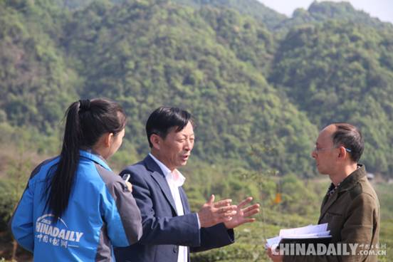 计景清：将浮梁茶推向世界——一个浮梁茶人的责任和追求