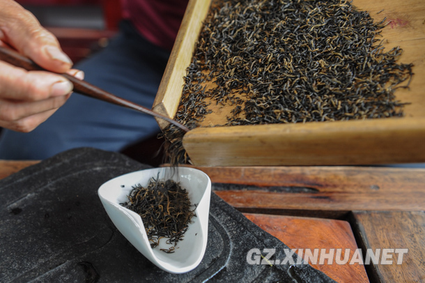 探秘古法手工红茶的制作工艺