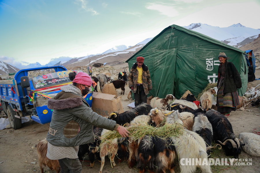 西藏聂拉木县：受灾群众安顿生活