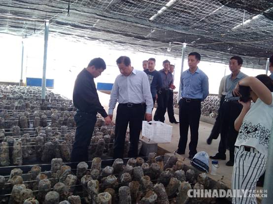 农业部农产品质量安全监管局巡视员到江西景德镇调研