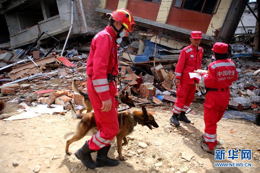 中国救援队的“神犬奇兵”