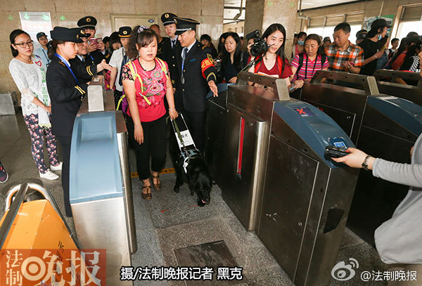 北京：导盲犬首次获准进入地铁