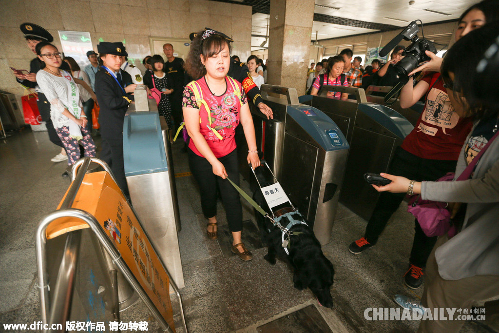 北京：导盲犬首次获准进入地铁