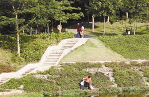 深圳889个公园“一园一特色”且逛且珍惜