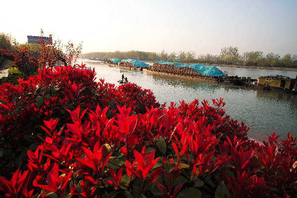 枣庄市港航管理局着力打造生态、绿色运河航运