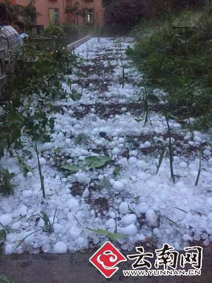 云南永善连续遭受暴雨冰雹灾害致13647人受灾