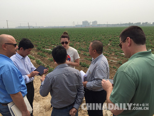 美国百事集团（总部）在唐山曹妃甸八农场成立马铃薯供应基地