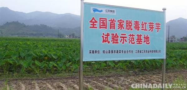 江西铅山县：以工业手段发展特色农业