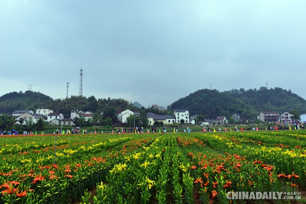 中国首届生态教育文化节在浙江桐庐县新龙村举行