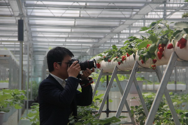 兰陵县大力发展现代农业打造“苍山蔬菜”品牌
