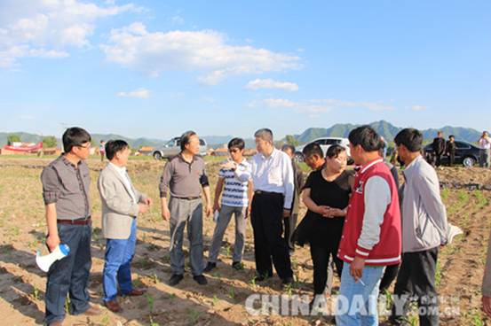 中国作物学会到平泉县开展科技服务惠农民活动