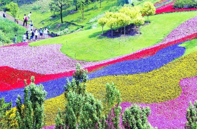 园博园锦绣谷“花毯”铺满山坡