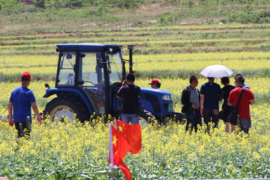 万亩油菜花绽放大连裴屯村