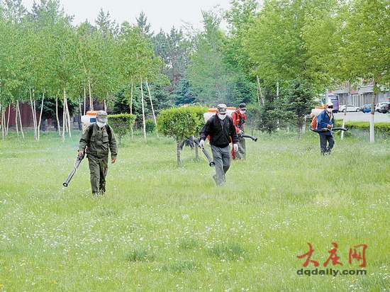 6月1日起大庆开始今夏首次集中灭杀蚊虫