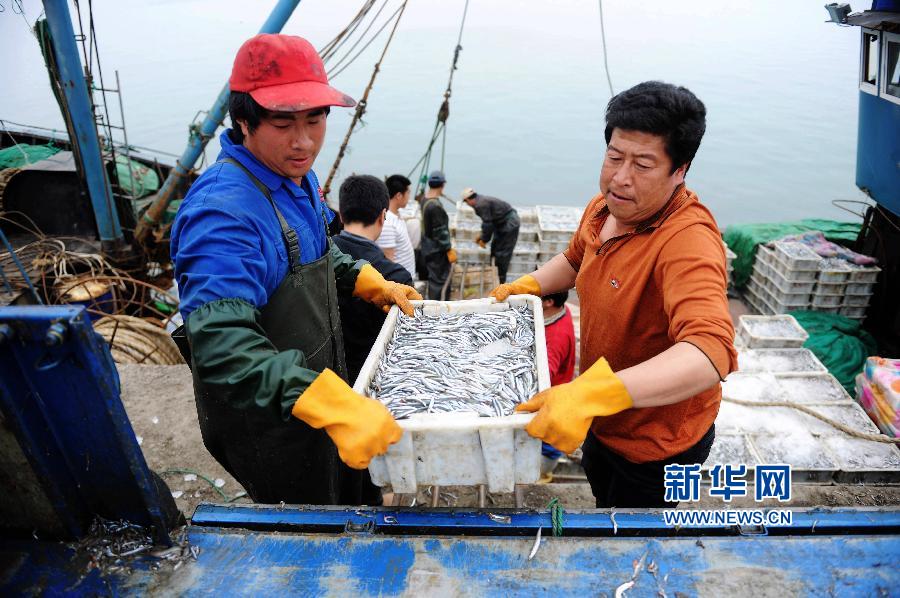 渤海黄海东海海域进入伏季休渔期