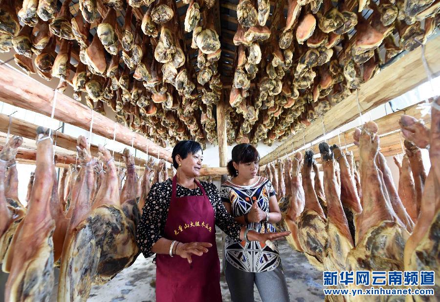 云南景东：山区农民腌制无量山火腿致富