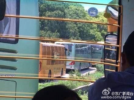 上海野生动物园多辆观光车被困猛兽区