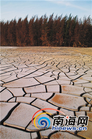 海南历史上的干旱高温：1977的大旱持续时间最长