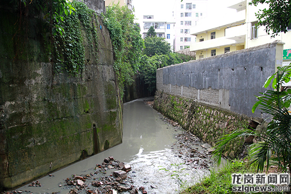 龙岗启动近中远期方案 重点低洼易涝点将治理消除