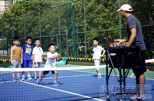 宝体短式网球公益培训推出幼儿园班 针对4-6岁儿童