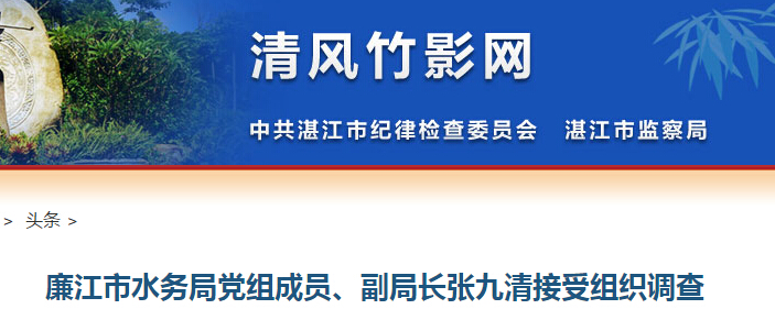 廉江市水务局副局长张九清接受组织调查