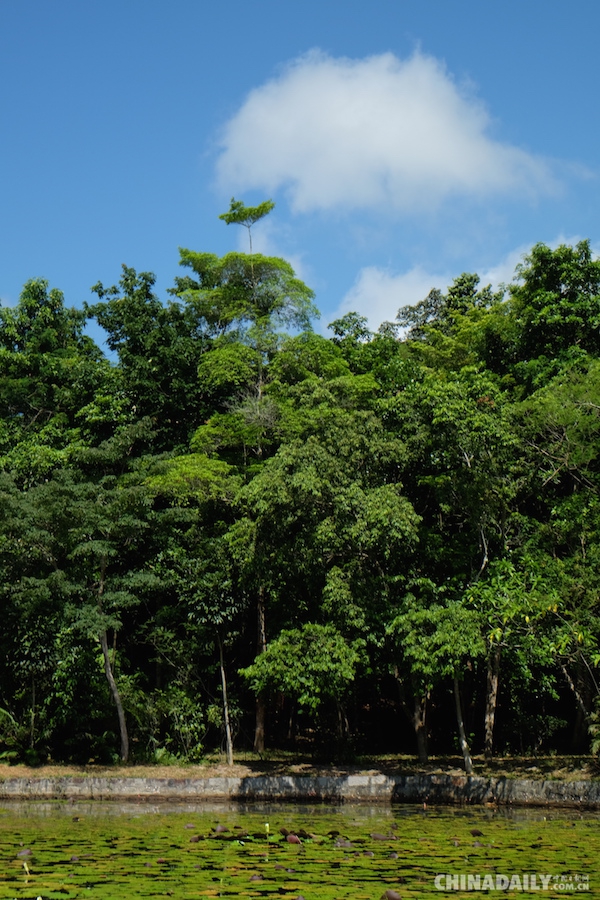 以生态保护为主业的景区——兴隆热带花园
