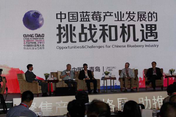 2015中国国际蓝莓大会暨青岛国际蓝莓节在青岛西海岸新区开幕