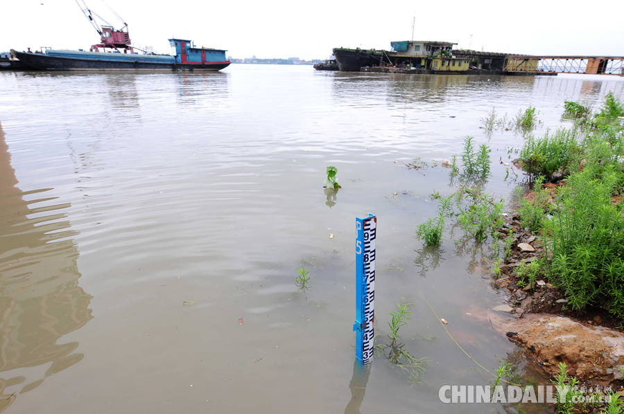 强降雨致长江九江段水位持续上涨 逼近警戒线