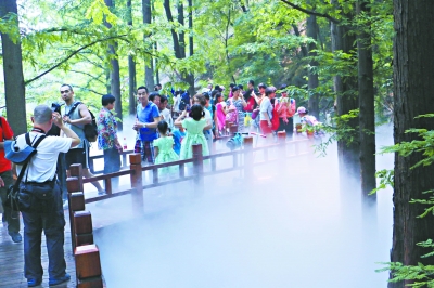 北京植物园樱桃沟水杉林喷雾景区吸引游客避暑