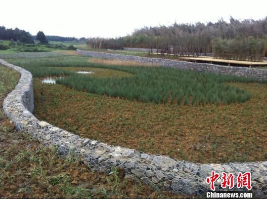 中英共建中国首个生态文明创新园正式开园