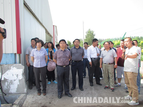 2015年度中期蔬菜产业体系联查工作在河北乐亭县开展