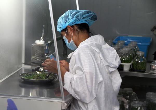 云南天根玛卡产业有限公司倡导健康生活理念,提倡尊崇品质生活<BR>