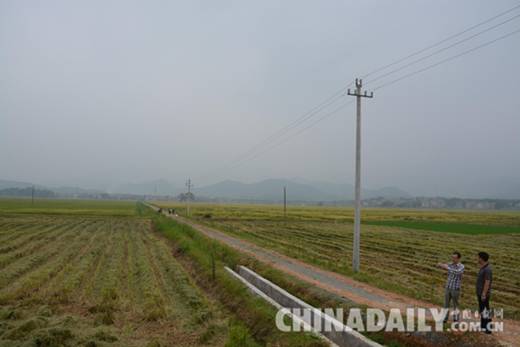 江西吉水：金田粮油的金光大道