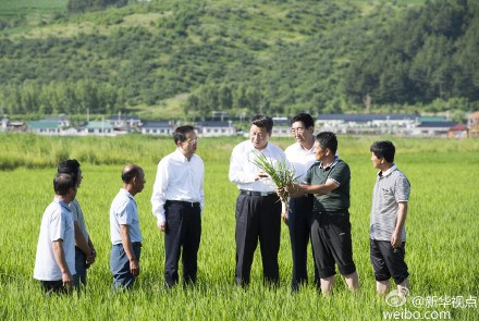 习总书记“如约”到延边