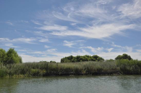 大安 ,嫩江湾国家湿地公园